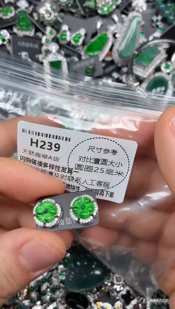 颈饰未镶嵌翡翠H239耳钉