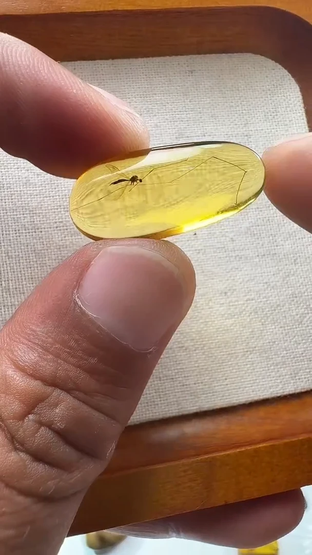 未镶嵌吊坠(不含链)虫珀飞虫长腿随形