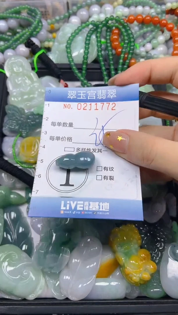 颈饰未镶嵌翡翠闪购C0211772