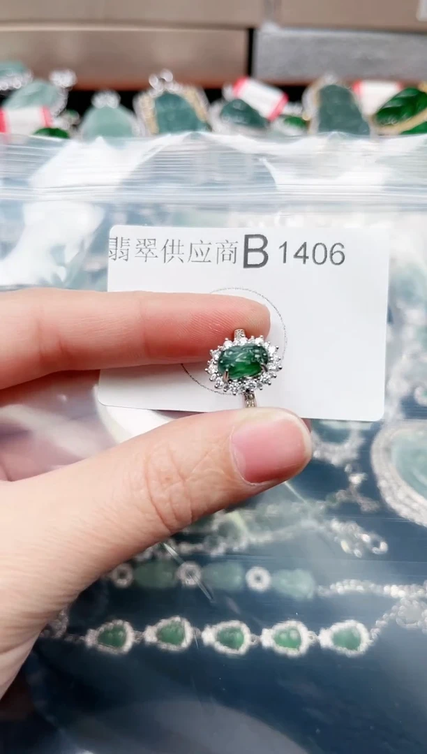 【闪购商品】翡翠颈饰未镶嵌1406赠皮绳