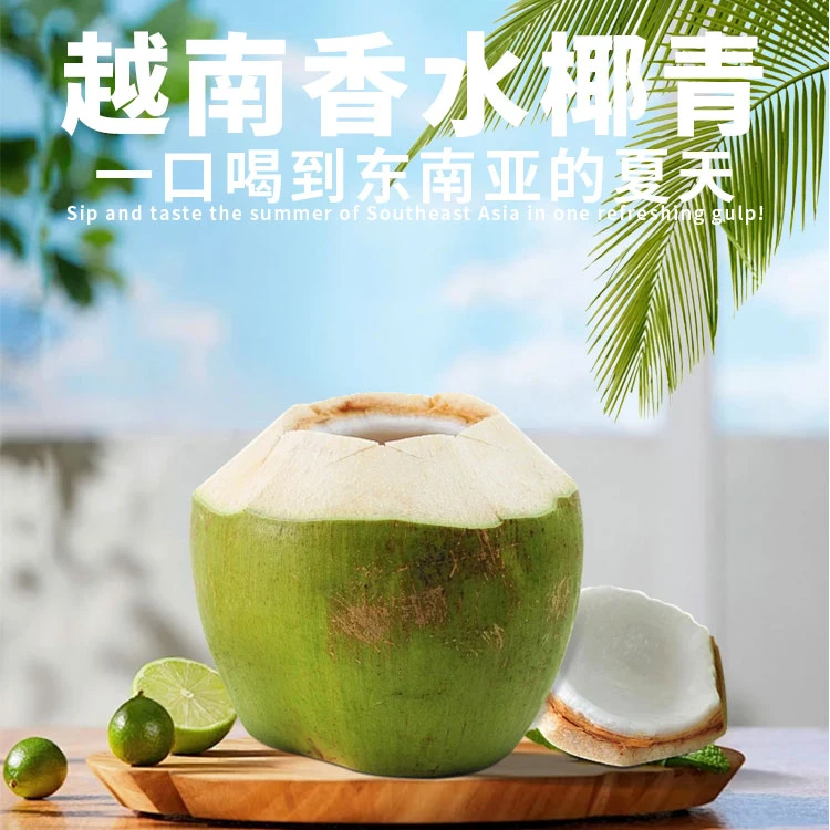 【景云专属】越南香水椰子新鲜带皮家庭装孕妈妈小孩解渴必备