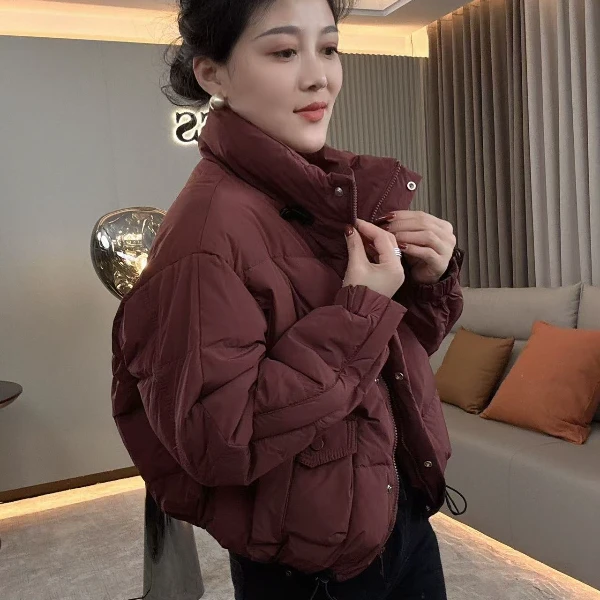 【耿老板2023#】小欧立领设计师款小短款白鸭绒羽绒安心绒服女外套