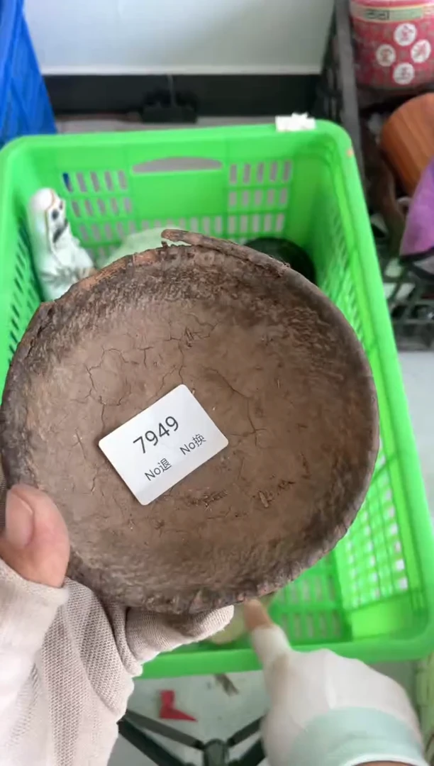 器小*55667788202506307949