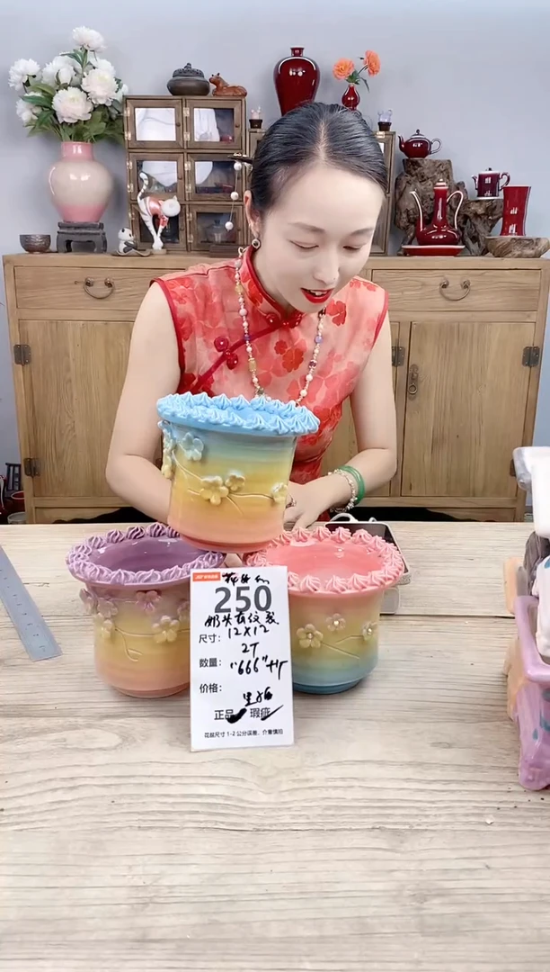 小玩子花盆直播号250