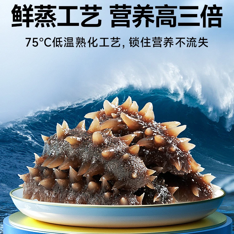 中国邮政官方补贴 9A级鲜食海参 大连辽刺参 4-6头/斤