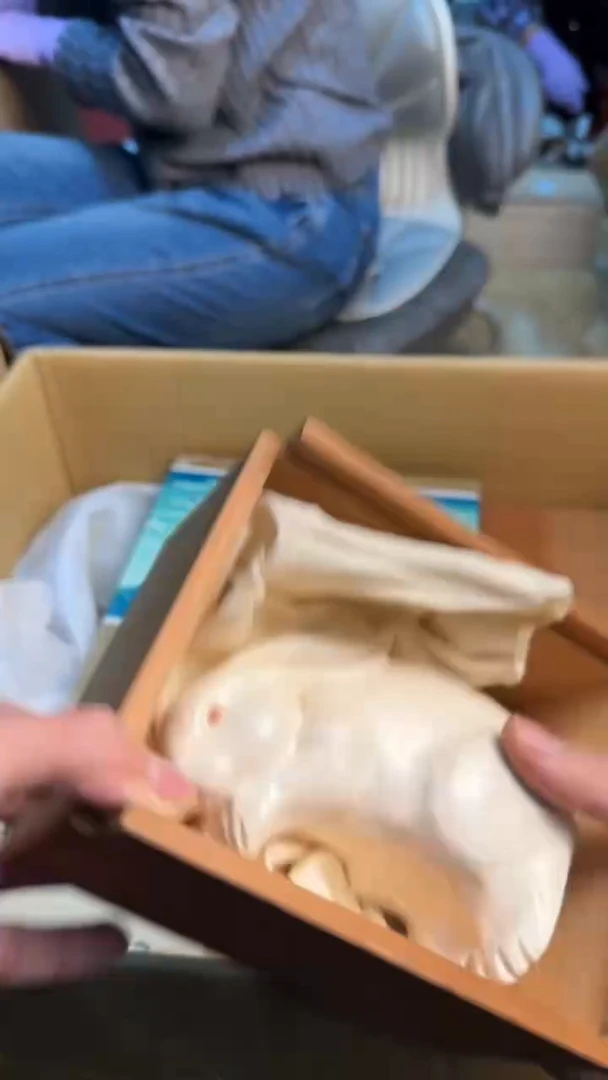 【闪购商品】茶盏8888888888     853