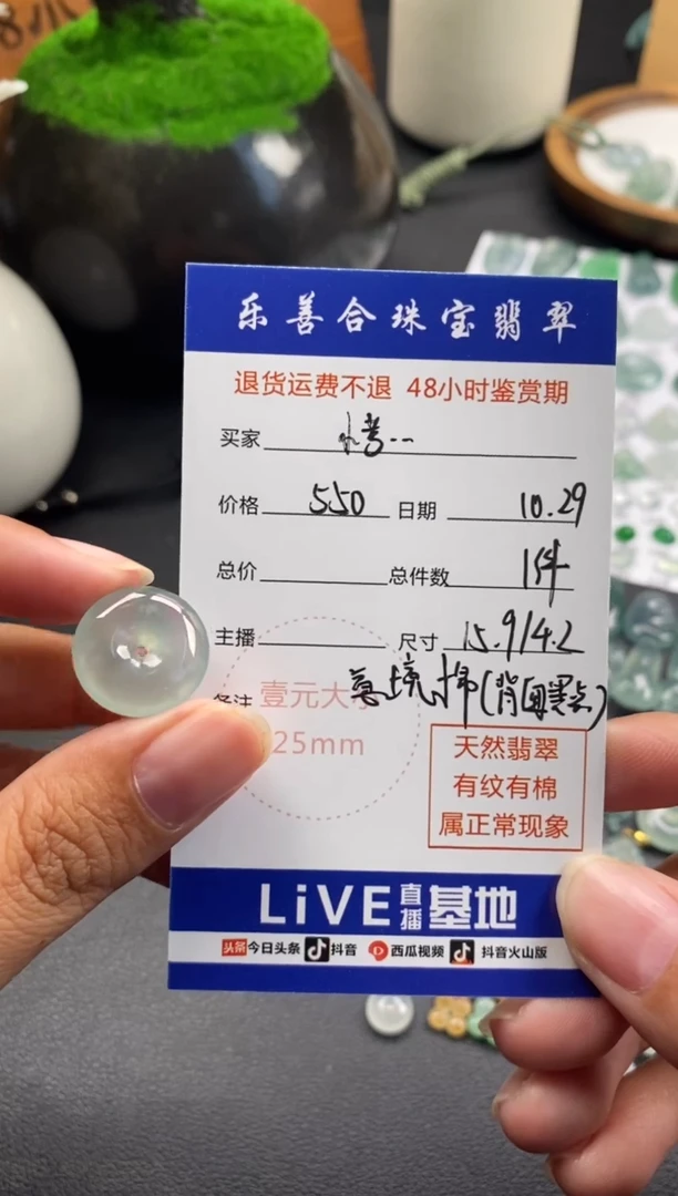 颈饰未镶嵌翡翠小*拉冰种平安扣