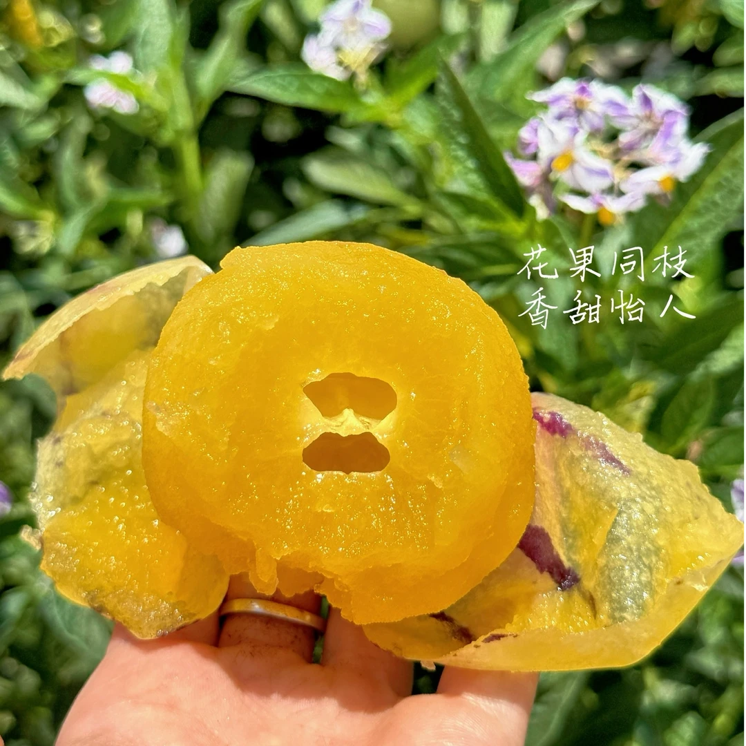 【云南石林树熟人参果】果肉饱满多汁皮薄清甜回甘低糖