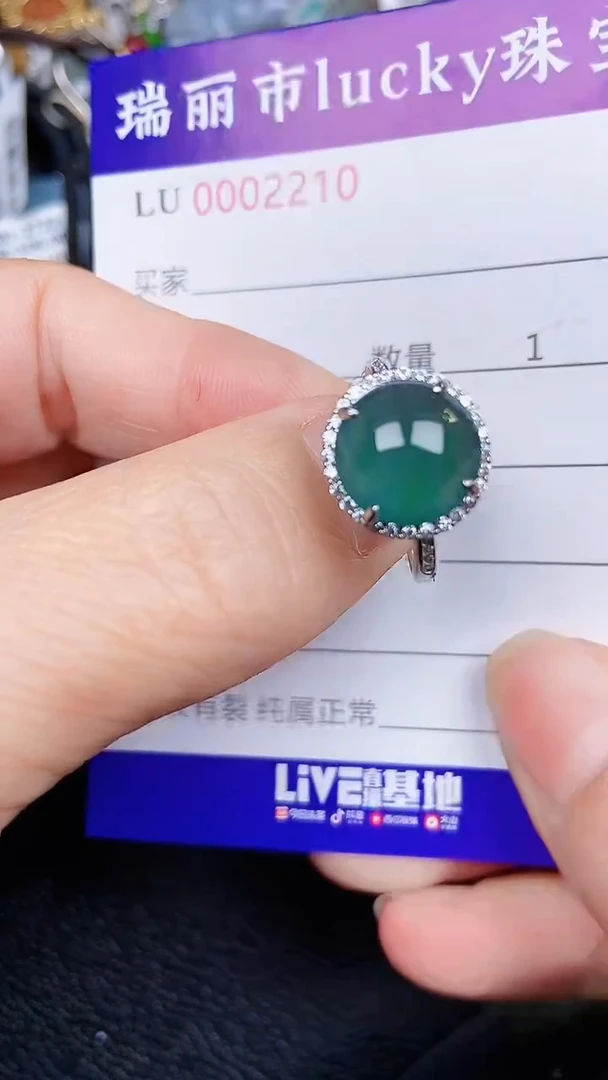 颈饰银S925镶嵌翡翠2210