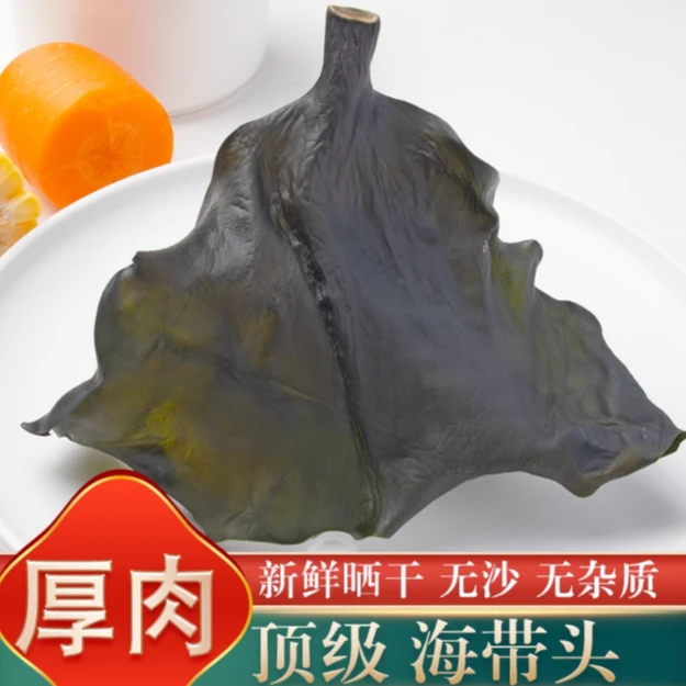 特级海带头炒菜煲汤凉拌火锅食材新鲜干净营养特厚粉糯