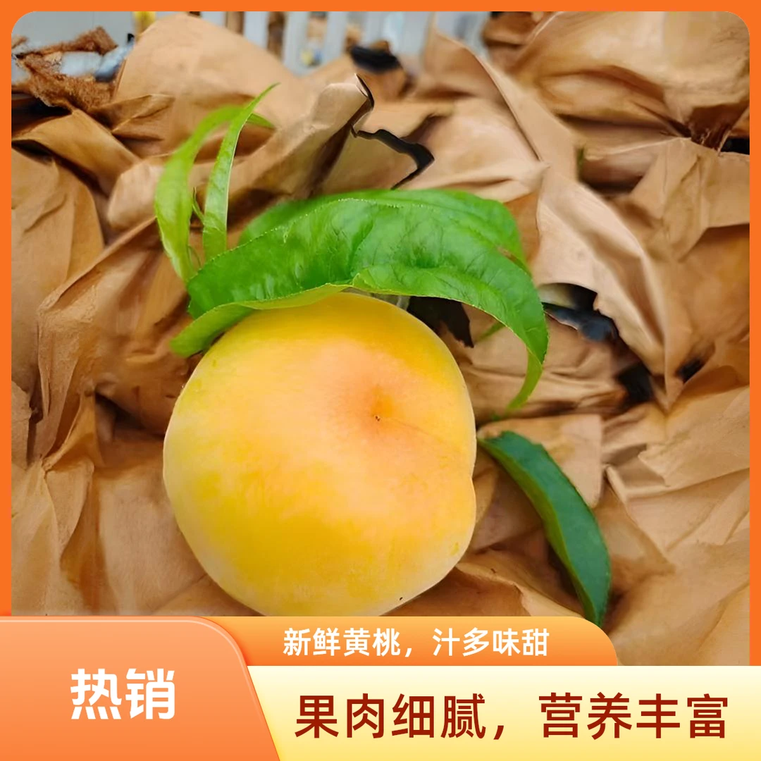 桃子蒙阴蜜桃黄毛桃当季水果新鲜桃香味浓无酸现摘现发净重4,5斤
