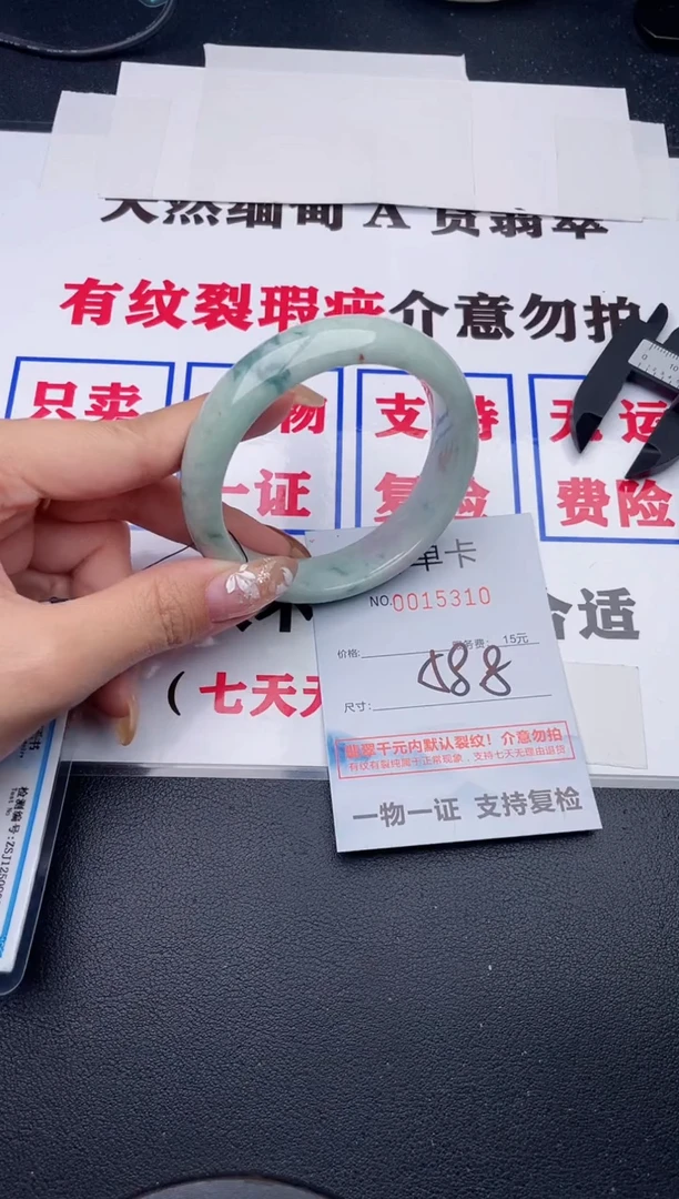 未镶嵌手镯翡翠1