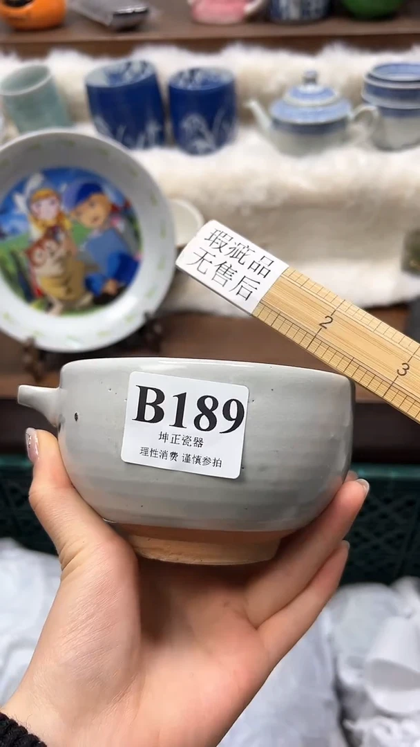 【闪购商品】瓷片          B189