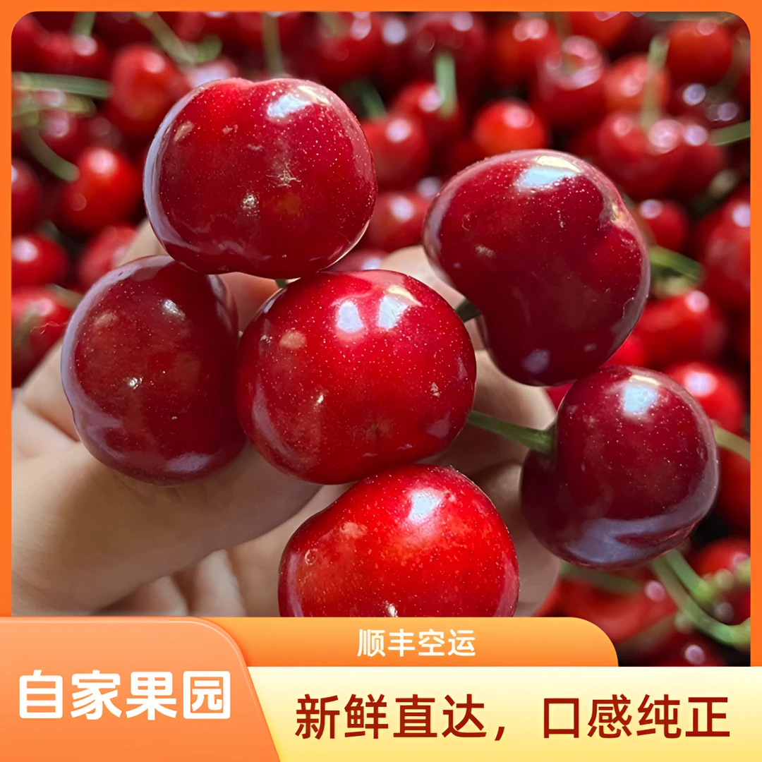 陕西布鲁克斯新鲜现摘当季水果顺丰空运包邮