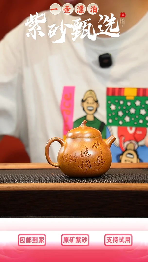 茶壶紫砂 一壶漂泊紫砂茶器5021