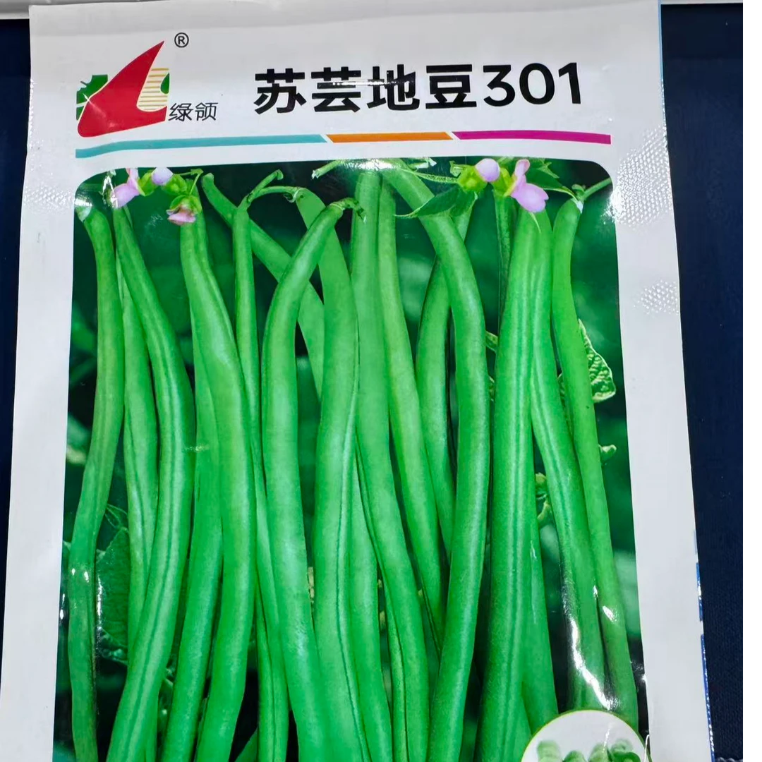 50克苏芸地豆301四季豆种子