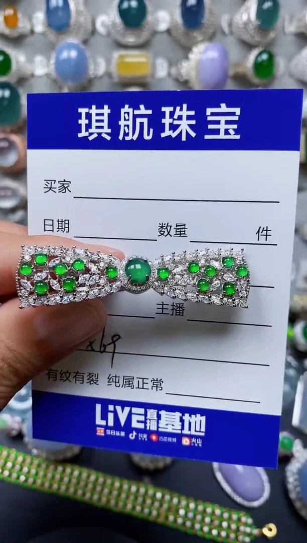 【闪购商品】翡翠颈饰银S925镶嵌0569