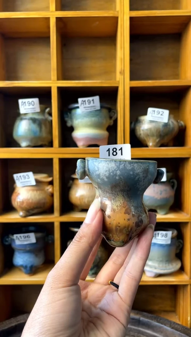 181【多肉花盆多肉盆】