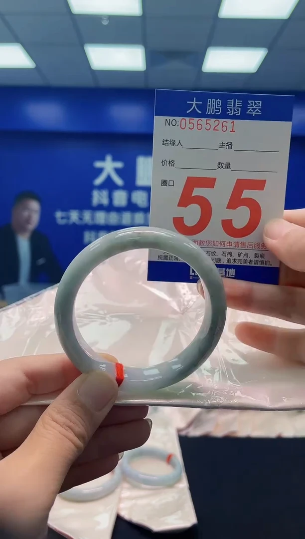 未镶嵌手镯翡翠AAAAAAAAA