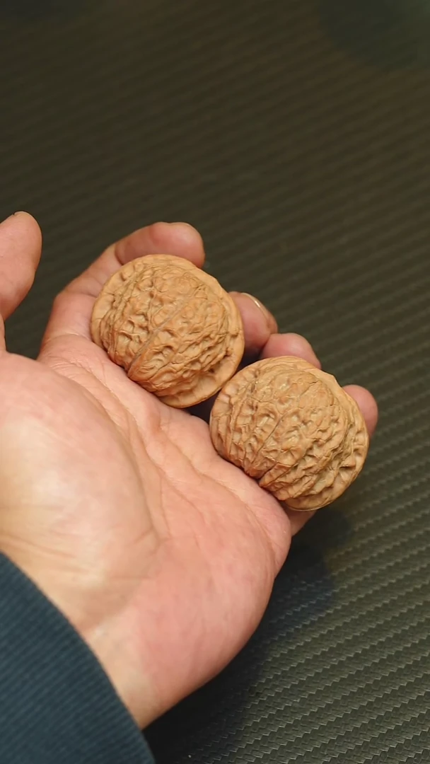 2025核桃季精品血麒麟40