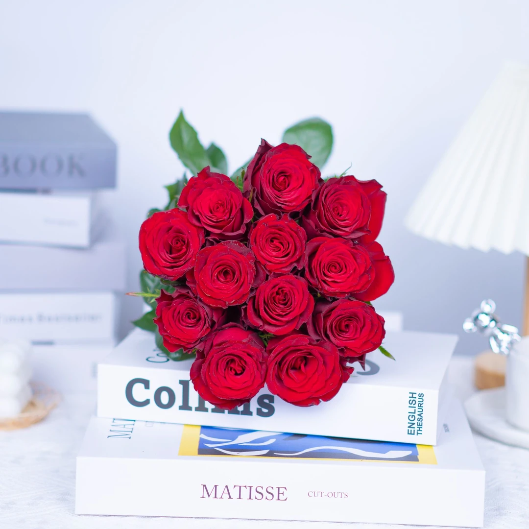 红色玫瑰-云南基地直发玫瑰鲜花水培---2单送配草-3单送2支向日葵