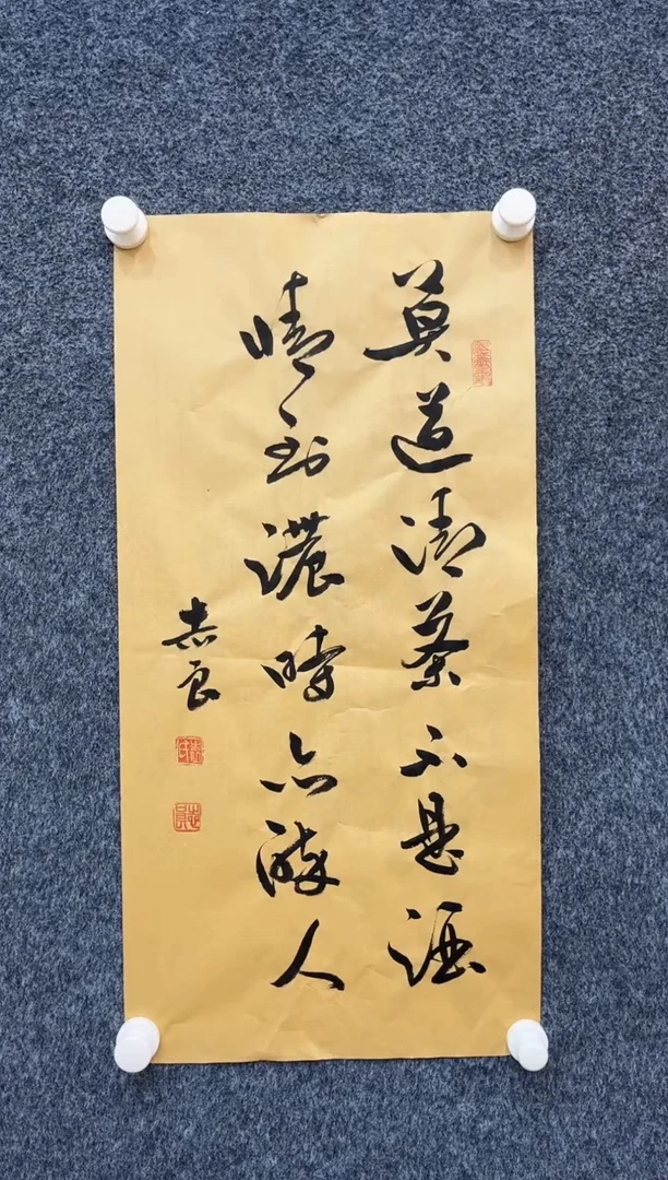 国画12.7zz-袁志良-不带国检证书-书法5