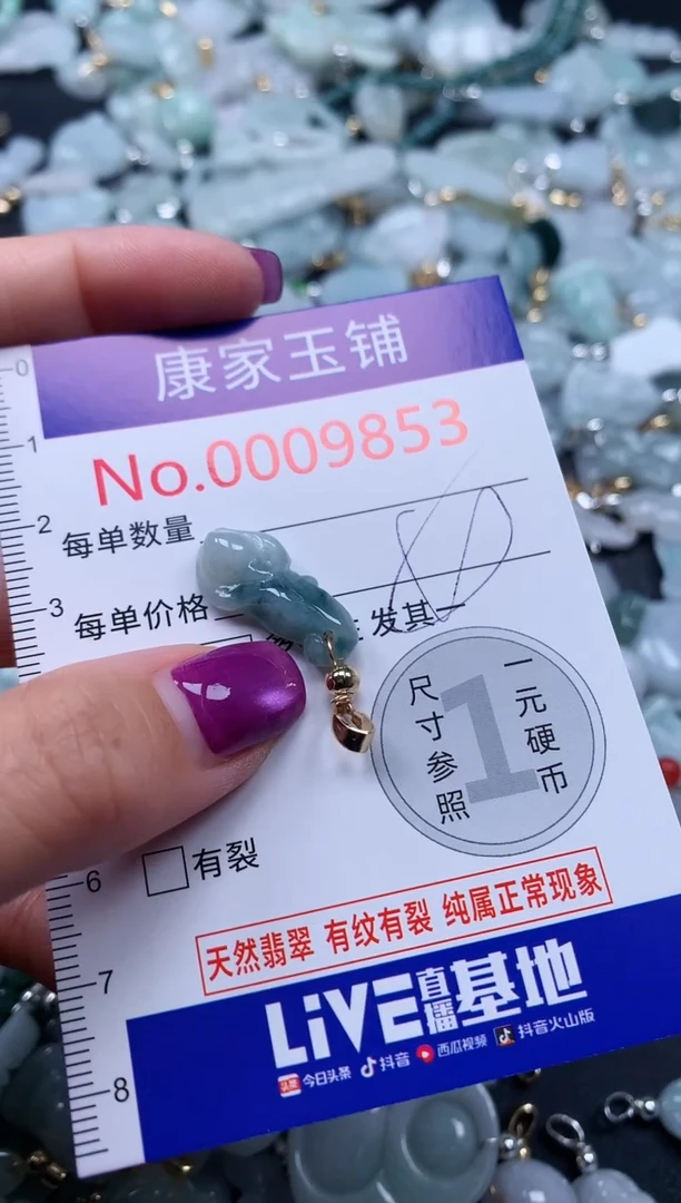 颈饰未镶嵌翡翠9853