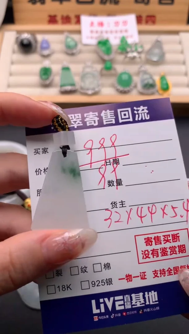 翡翠未镶嵌颈饰10134524