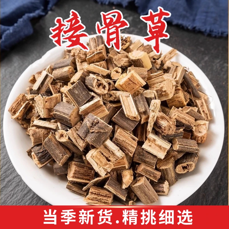 接骨草高品质中药材无硫陆英接骨草排风藤臭草八棱麻走马箭干货