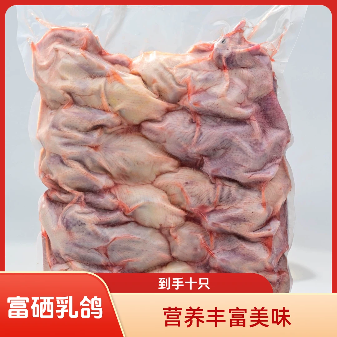 富硒乳鸽来自新疆的鸽子到手十只顺丰发运