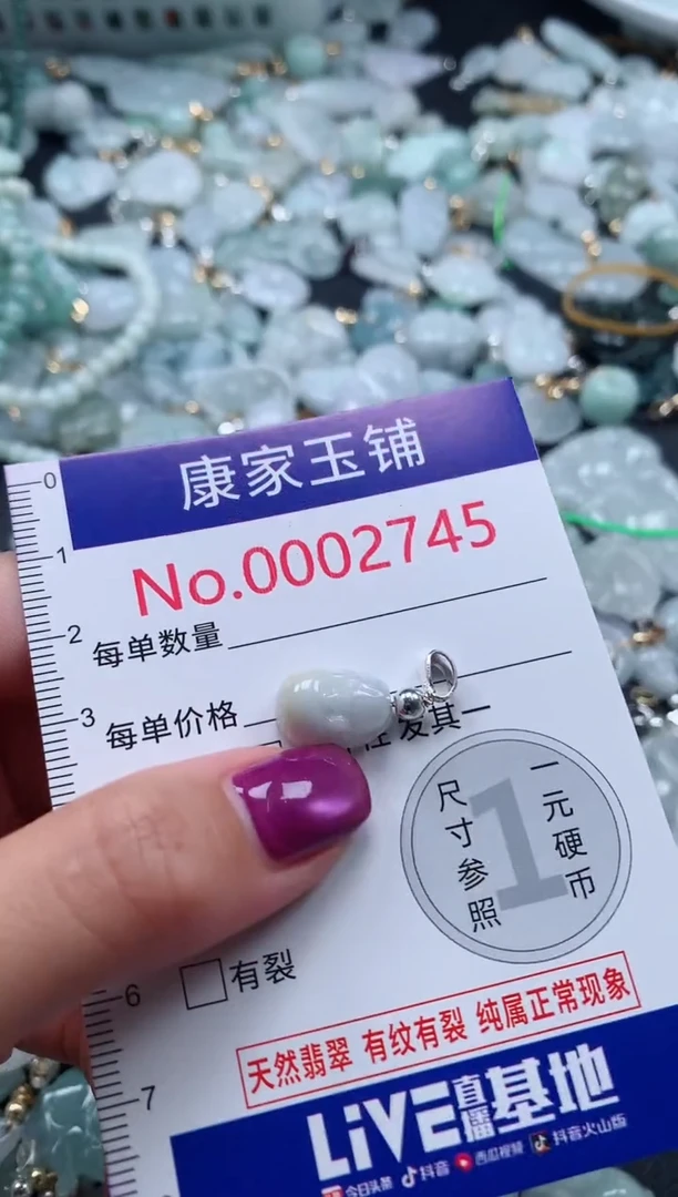 颈饰未镶嵌翡翠2745