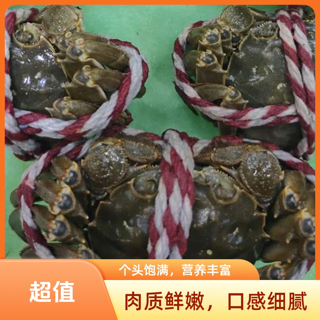 河蟹3两（母) 1 / 只