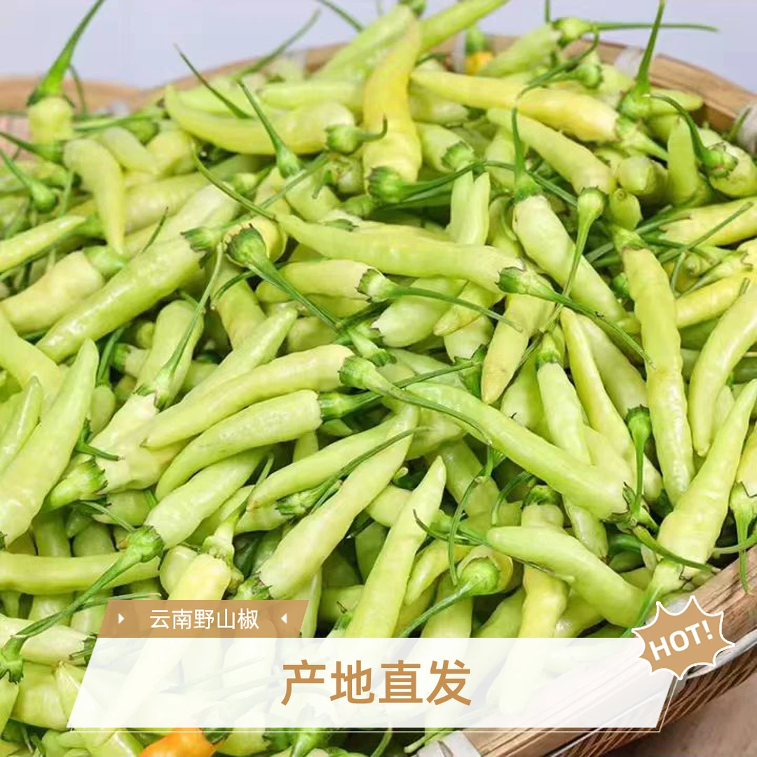 批发现摘现发云南新鲜白小米辣椒特辣黄白野山椒白米特辣新鲜辣椒