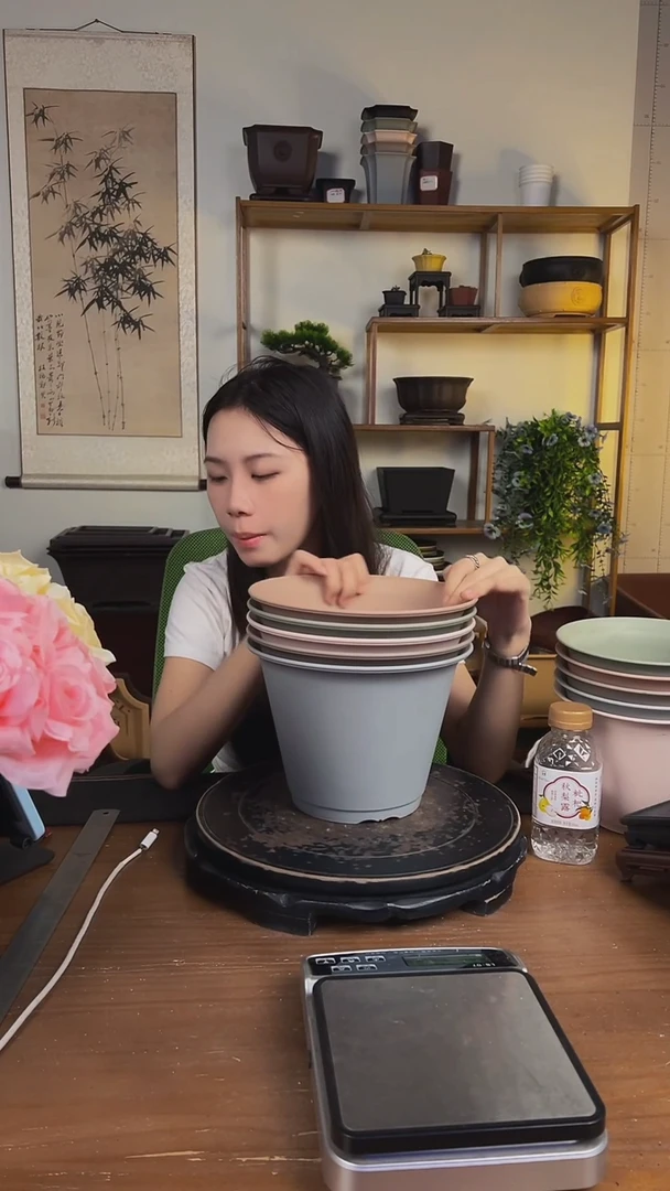 22*16双沿盆 马卡龙色系5只