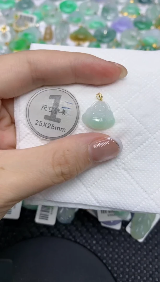 颈饰未镶嵌翡翠11111111