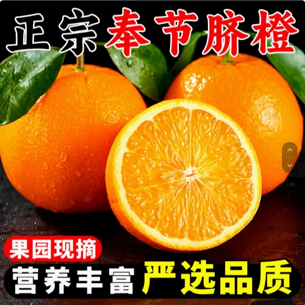 （次日达）重庆新鲜采摘奉节脐橙 纽荷尔 5斤/10斤装精选装