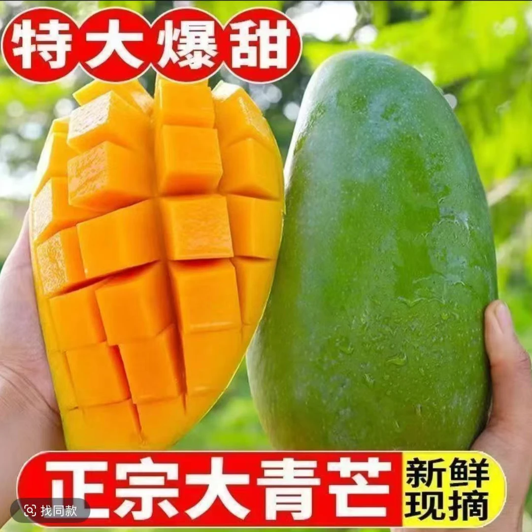 云南大青芒青皮金煌芒放熟食用 坏果包赔单果400g+带箱5斤