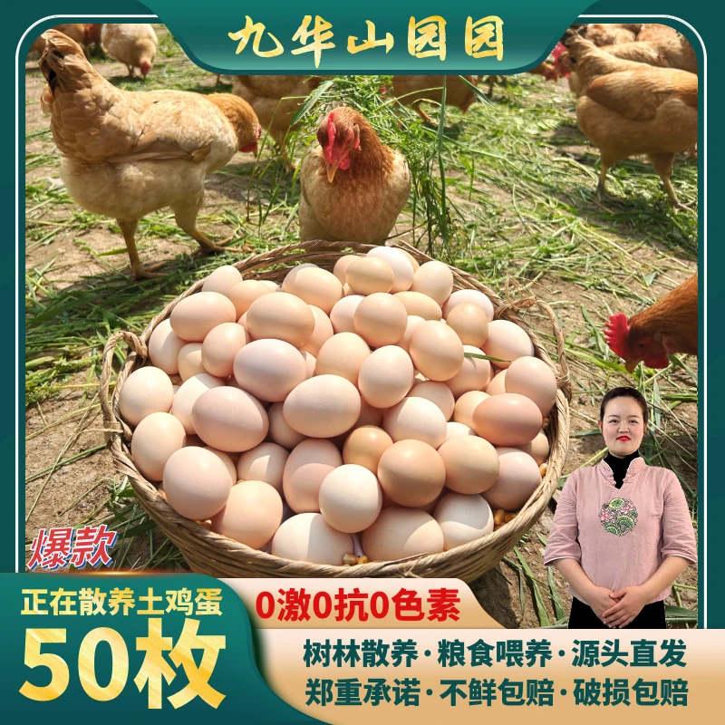(50枚土鸡蛋)皖南九华山生态农家散养柴鸡蛋安心早餐鲜营养鲜鸡蛋