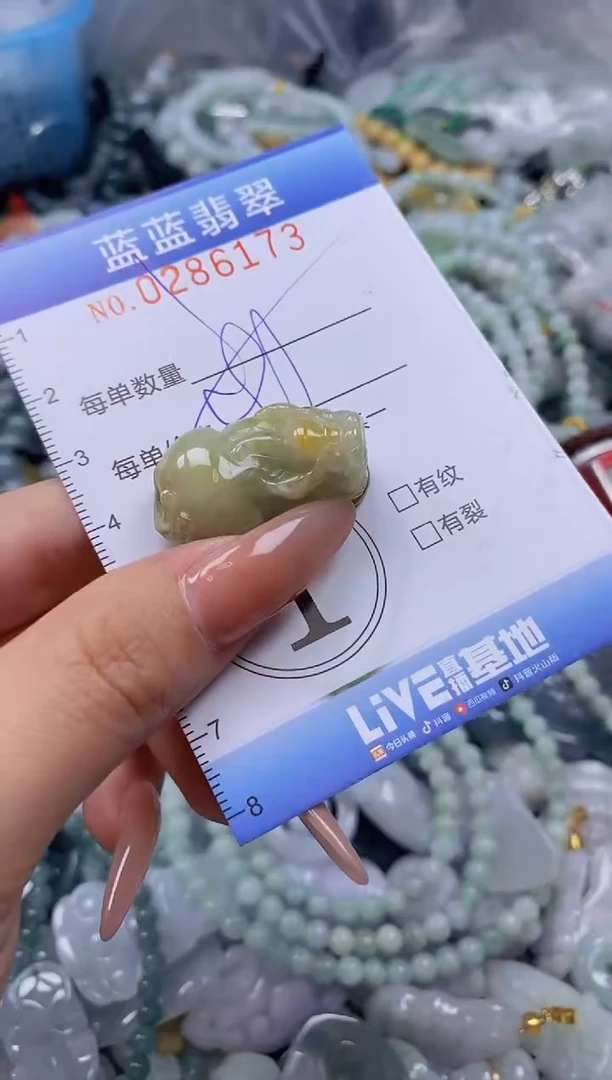 翡翠未镶嵌颈饰闪购0286173