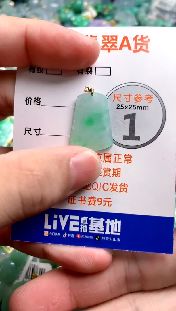 颈饰未镶嵌翡翠0785170639