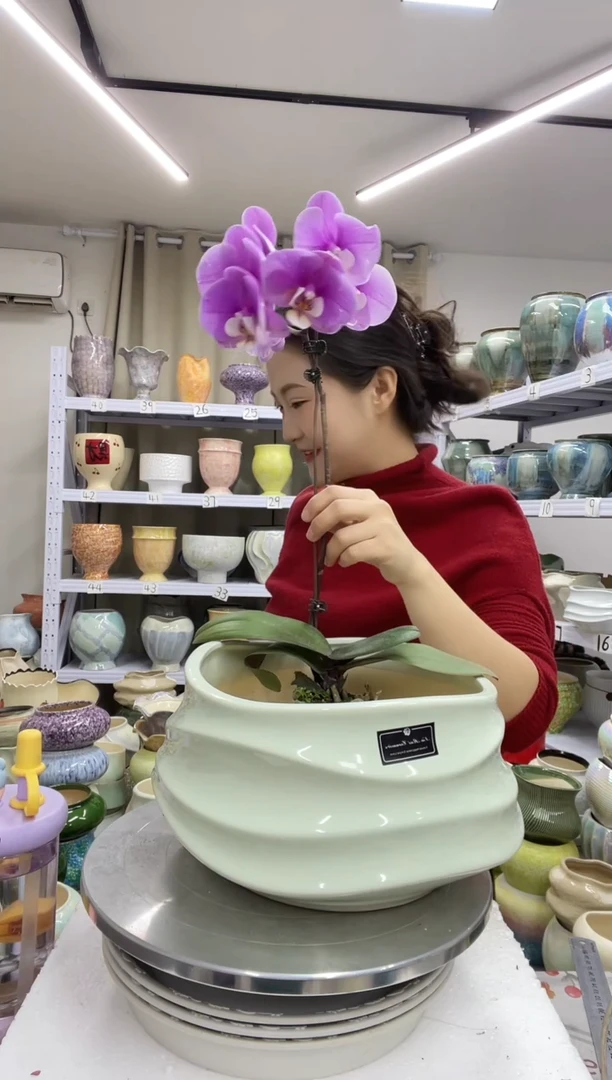 【1.4】花盆尺寸高：15 口：21