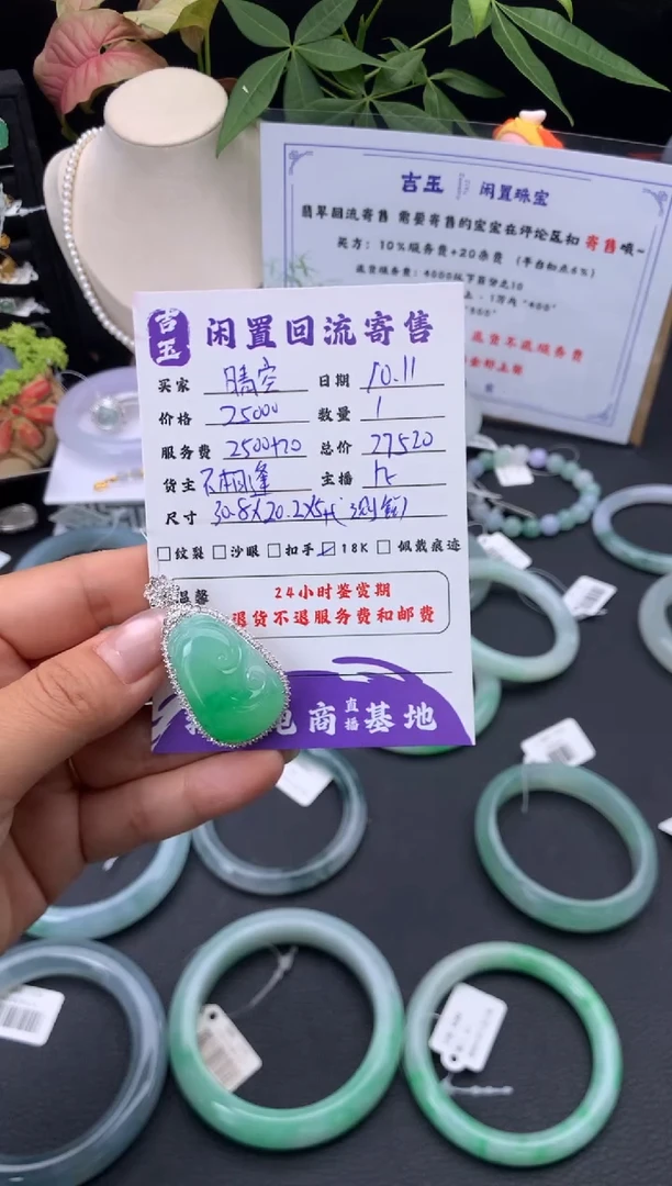 颈饰18K金镶嵌翡翠晴****）挂件