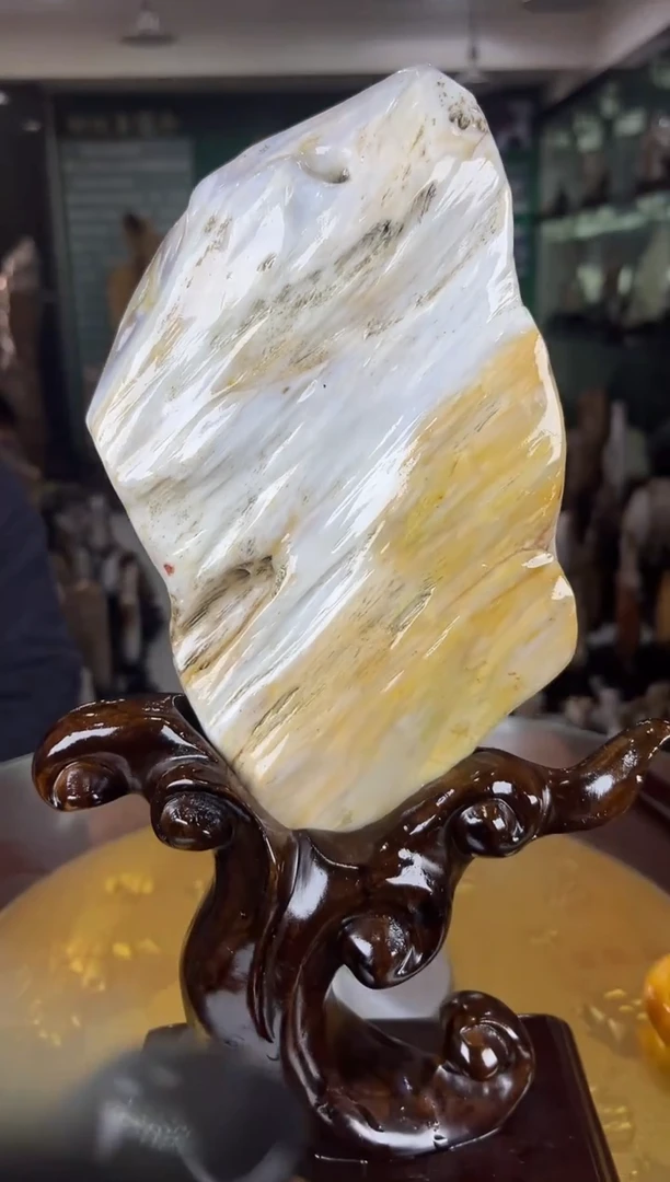 未镶嵌珠宝奇石硅化玉缅甸天然树化玉摆件