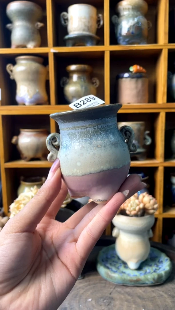 289内口5【多肉花盆多肉盆】1