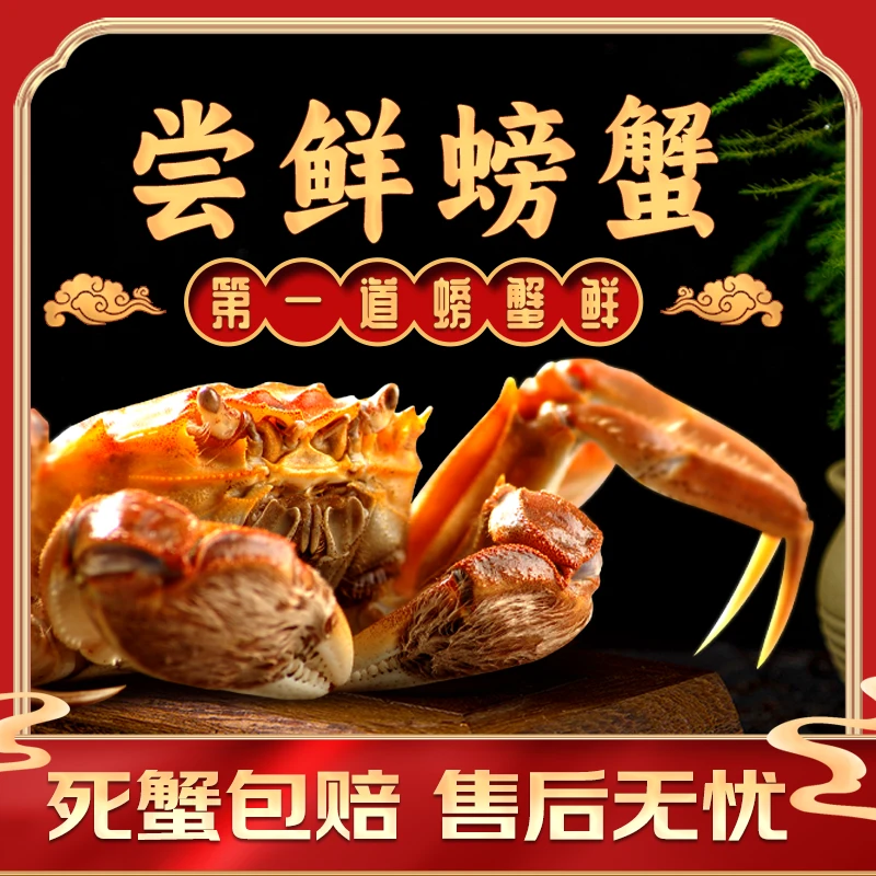 【活蟹】蟹趣-河蟹-母蟹-1.6-1.8两-8只-京东顺丰包邮