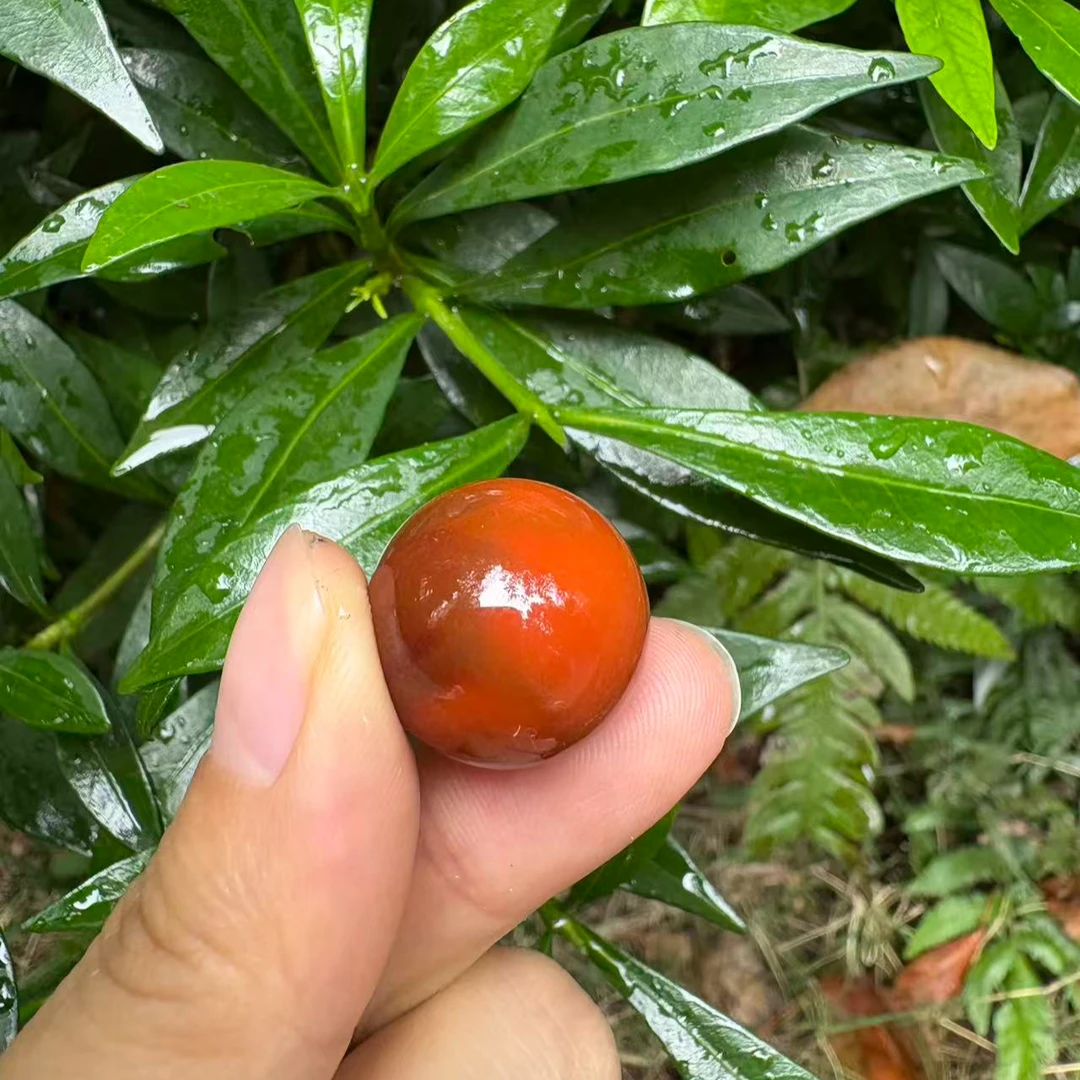 川料南红圆珠单珠18mm 天然原矿 国检证书 一物一拍