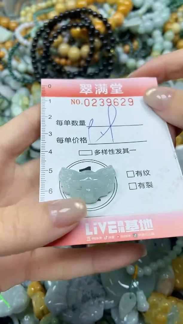 颈饰未镶嵌翡翠闪购0239629