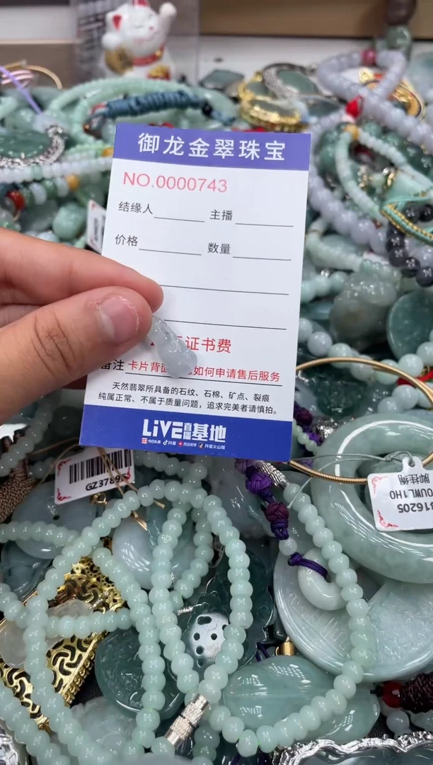 翡翠未镶嵌颈饰020