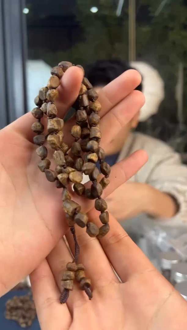 沉香手串奇楠沉香沉水树丁多圈14克多样性发一