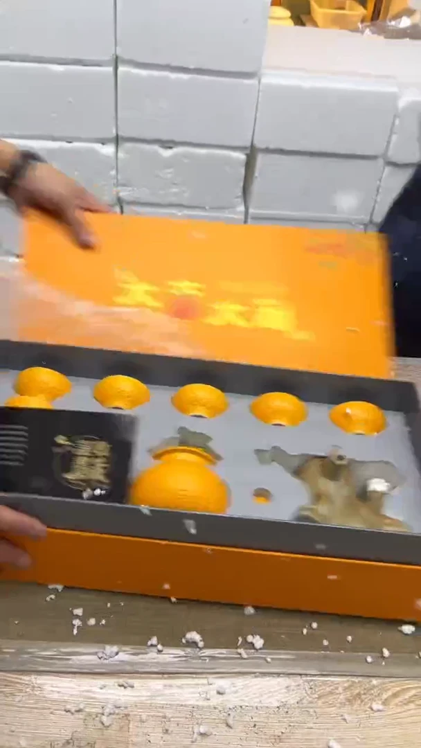 【闪购商品】其他其他其他其他其他